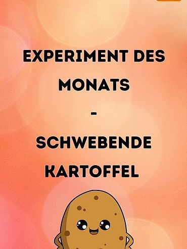 Startbild Experiment des Monats: Kartoffel-Balance-Akt