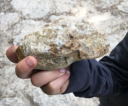 Auf dem Foto ist eine Kinderhand zu sehen, die einen Stein in Form eines Dino-Kopfes hält.