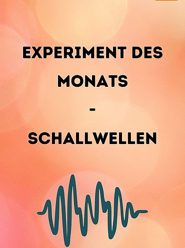 Startbild Experiment des Monats: Sichtbare Schallwellen
