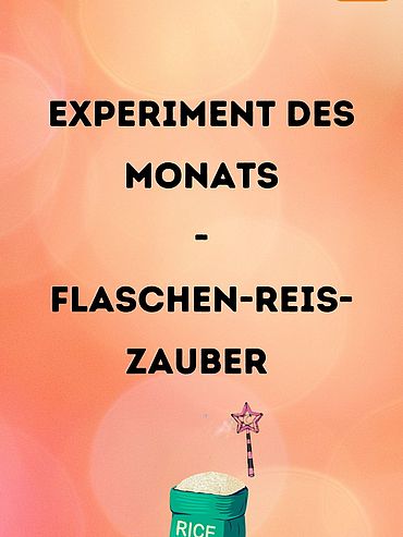 Startbild Experiment des Monats: Flaschen-Reis-Zauber