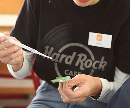 Junge Frau hält eine Pipette in einer, ein Blatt in der anderen Hand