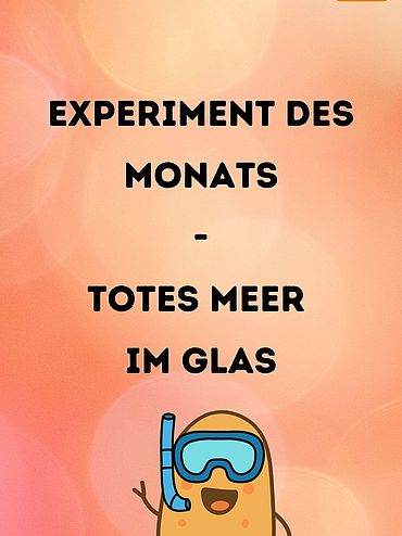 Man sieht das Titelbild zum Experiment des Monats Totes Meer im Glas. Unter jenem Titel sieht man eine Kartoffel, die eine Taucherbrille aufhat und oben rechts in der Ecke noch das Logo.